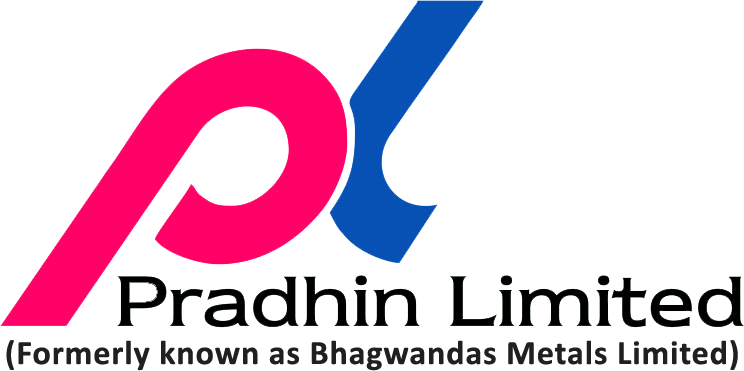 Pradhin Ltd. - Logo